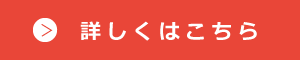 施術内容